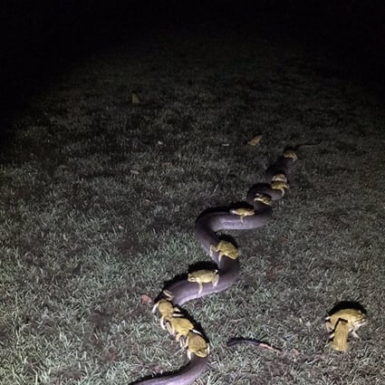 south china morning post