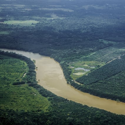 Aerial view of a palm oil plantation and logging site in the jungles of Sarawak in Borneo. Photo: Hans Lucas