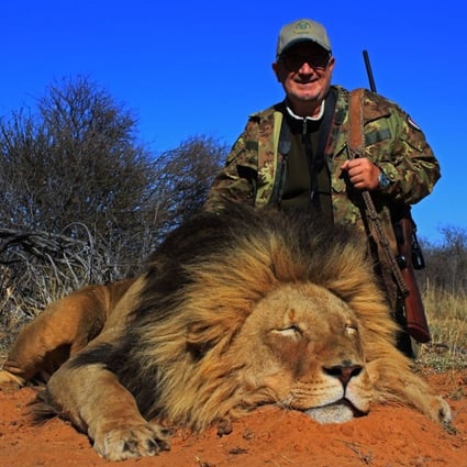 Animal-loving cricketer's anti-hunting tweet sparks online debate – do 'managed safaris' actually help conservation? | South China Morning Post Animal-loving cricketer's anti-hunting tweet sparks online debate – do 'managed safaris' actually help conservation? | South China Morning Post