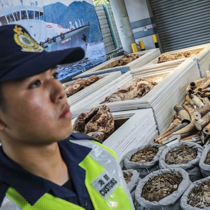 Endangered animal parts seized by Hong Kong customs in Kwai Chung. Photo: K. Y. Cheng