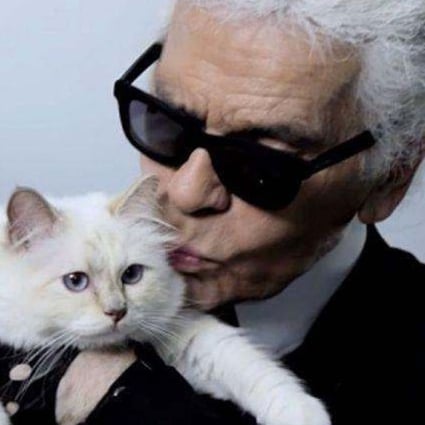 How Karl Lagerfeld’s cat Choupette, already a millionaire, could become ...
