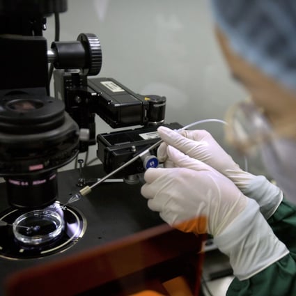 A sperm injection microscope is used in preparation for injecting embryos in Shenzhen in southern China. Photo: AP