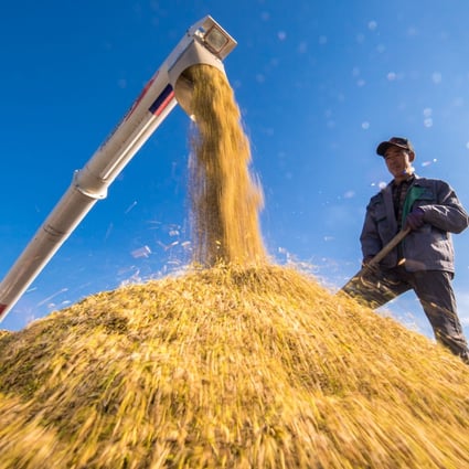 A farmer oversees a rice harvest in Yilaxi township in Jilin province in this 2018 file photo. Photo: Xinhua