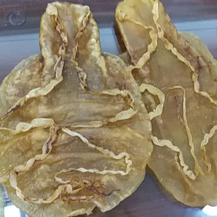 Demand in Chinese medicine for dried swim bladders of totoaba fish is driving a huge black market which can be lucrative for smugglers. Photo: AFP