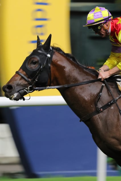 Zac Purton salutes aboard Romantic Laos to ring up his 600th Happy Valley winner. Photo: Kenneth Chan