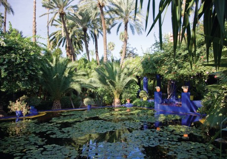 Jardin Majorelle, in Marrakech, was once owned by Yves Saint Laurent. Photo: Richard Waite