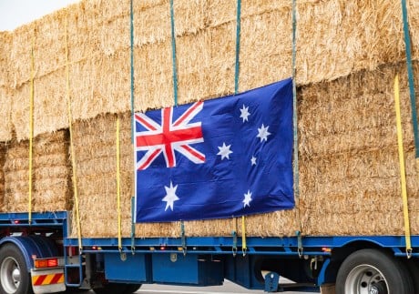 Two months after their expiration, Chinese import permits for hay from 25 Australian businesses have not been renewed. Photo: Shutterstock