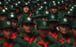 United Wa State Army (UWSA) soldiers participate in a 2019 military parade to commemorate 30 years of a ceasefire signed with the Myanmar military. Photo: AFP