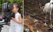 Five-year-old Chinese girl using dad’s US$75,000 camera to film wildlife for a school project wows 110 million online. Photo: Weibo
