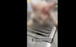 A cat and its unborn kittens died after a security guard in China’s Shanxi province poured boiling water over the cat. Photo: Weibo