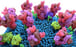 A 3D illustration of the coronavirus spike protein which has unlocked a new vaccine technology. Photo: Shutterstock