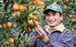 A worker picks kumquats in Miyazaki prefecture in Kyushu, Japan. The kumquat is a traditional Lunar New Year fruit that is also rich in nutrition and vitamins. Photo: Miyazaki Prefecture Agricultural Office.