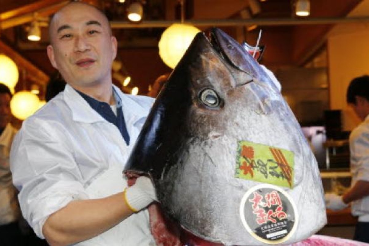 Мир наизнанку тунец в Японии. Самая дорогая рыба.