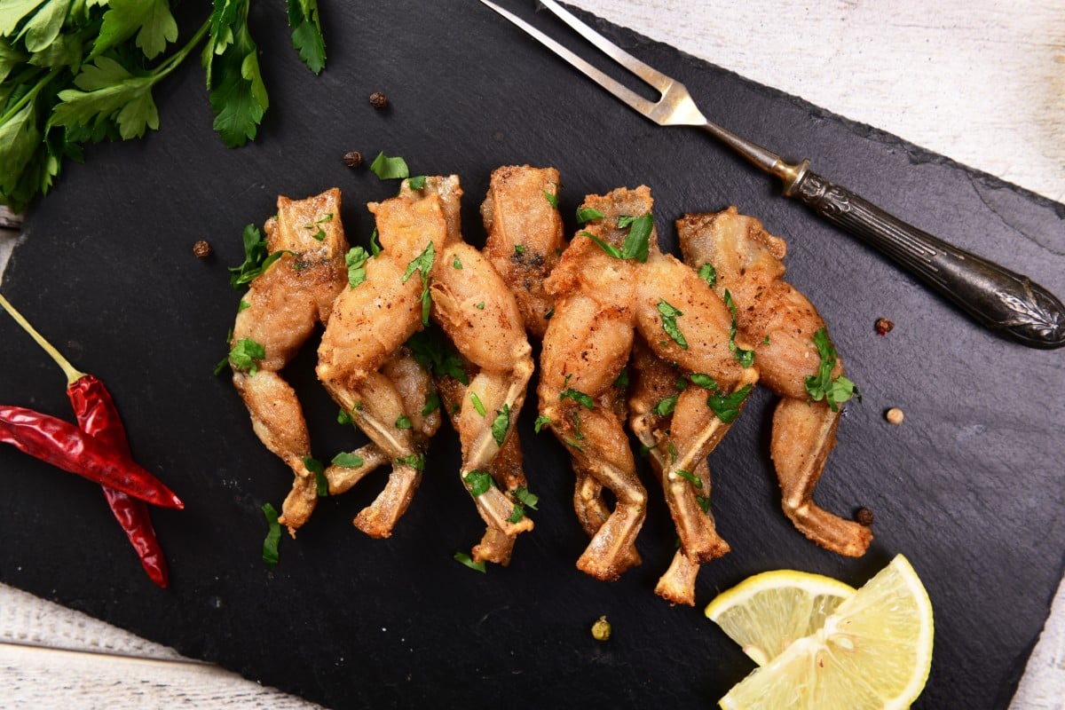 Лягушачьи лапки фото во франции Лягушачьи лапки фото во франции